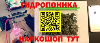 наркотики Новозыбков