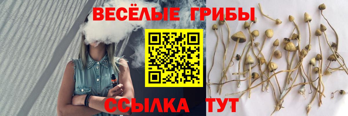 Псилоцибиновые грибы мицелий  Вход с VPN  наркота  Саратов 